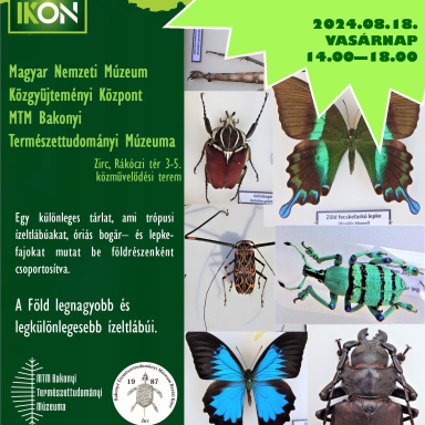 Zircikon 2024