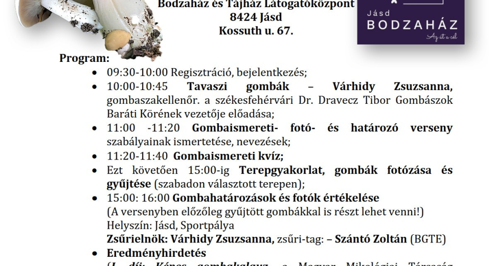VII. BAKONY-BALATONI GOMBA NAP VII. BAKONY-BALATONI GOMBA NAP