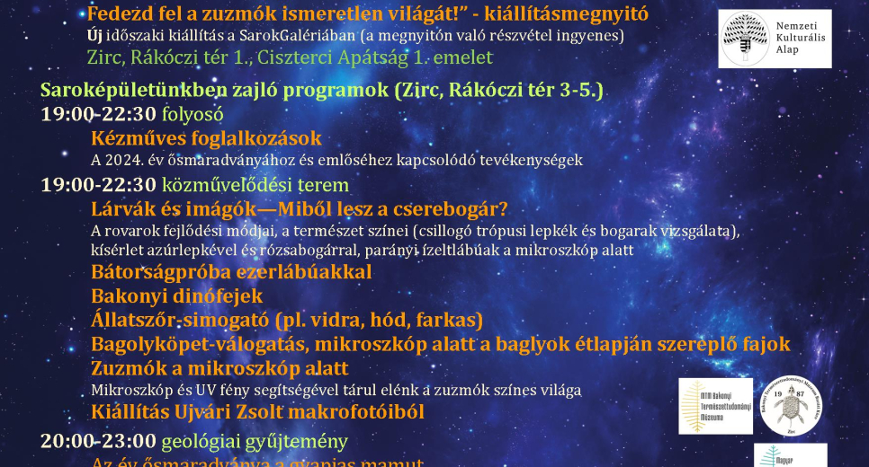 Múzeumok Éjszakája Múzeumok Éjszakája
