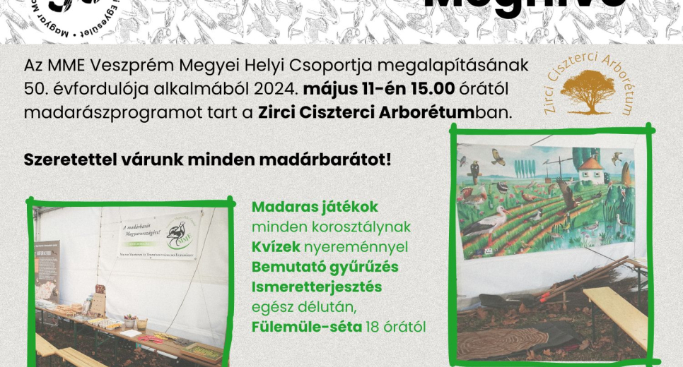 Madarak és Fák Napi madarászprogram
