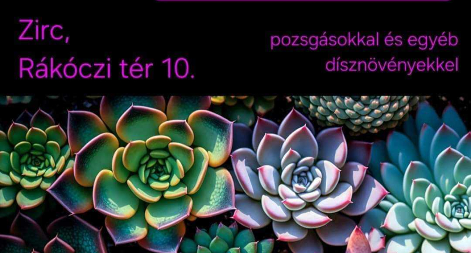Kaktuszkiállítás