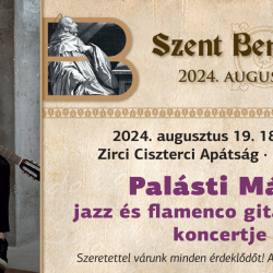 Palásti Máté jazz és flamenco gitárművész koncertje