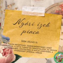 Nyári ízek piaca