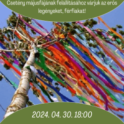 Májusfaállítás