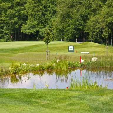 Golfozás