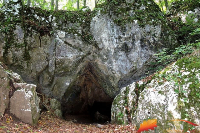 BARLANGÁSZAT