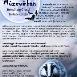 Borzongás a Múzeumban