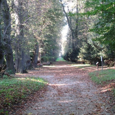 UTAK (BERKESI GÁBORNÉ) Galéria