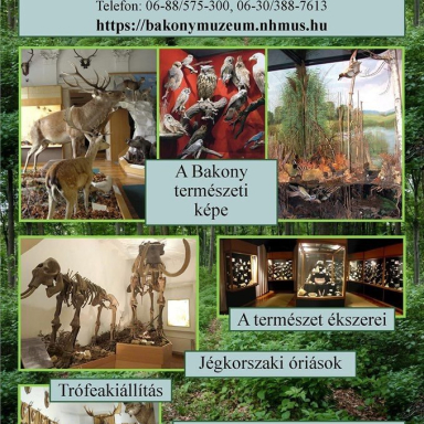 MTM BAKONYI TERMÉSZETTUDOMÁNYI MÚZEUMA Galéria
