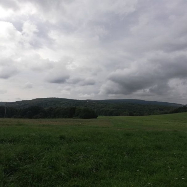 BAKONYI ÉLMÉNYEK (BŐCZY BARBARA) Galéria
