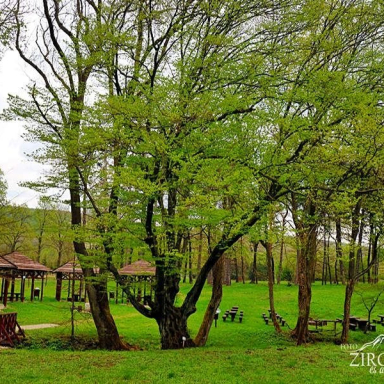 ALSÓPEREI (NÁDASDY) ARBORÉTUM Galéria