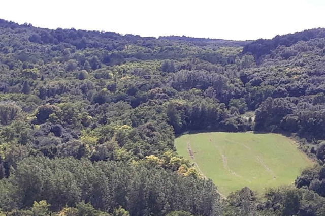 BAKONYI TÁJ A MAGASBÓL (GREGORITS HILDA)