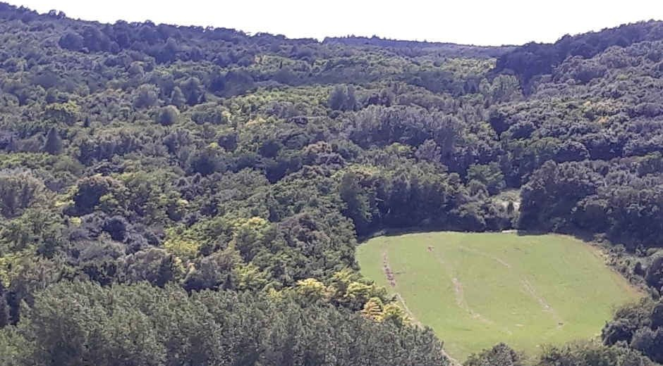 BAKONYI TÁJ A MAGASBÓL (GREGORITS HILDA)