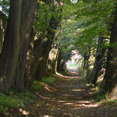 Arborétum galéria
