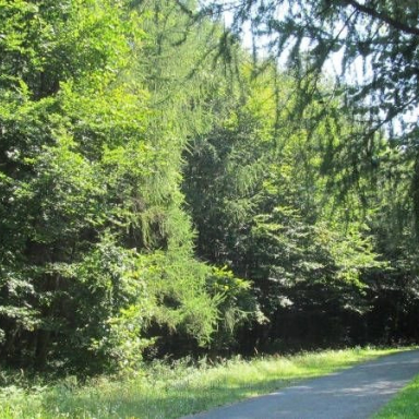 ODVASKŐ - RÉZBÜKKI ÚT - KŐRIS-HEGY - ÖREG SZARVAD-ÁROK (BAÁN IRÉN) Galéria
