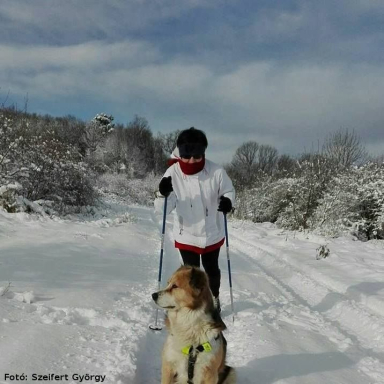 NORDIC WALKING
