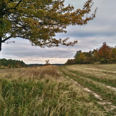 HÁROM-HEGY Galéria