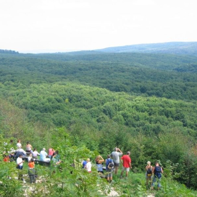 Witt-kilátó
