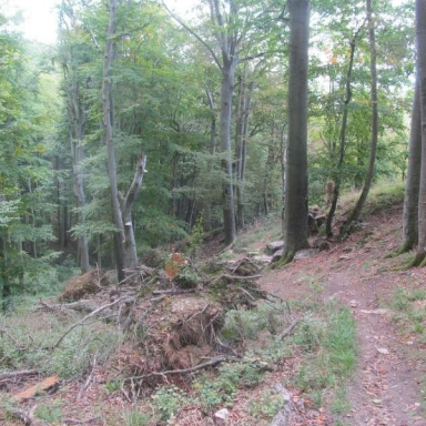 SZÉPALMA - KŐRIS-HEGY - ÖRDÖG-LIK - HALOMSÍROK – SZÉPALMA (BAÁN IRÉN) Galéria
