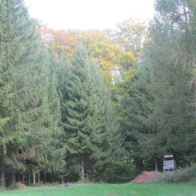 SZÉPALMA - KŐRIS-HEGY - ÖRDÖG-LIK - HALOMSÍROK – SZÉPALMA (BAÁN IRÉN) Galéria