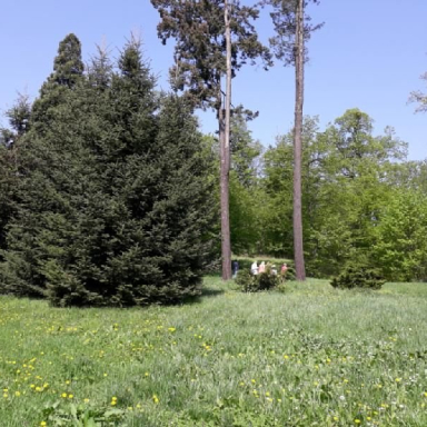 ALSÓPEREI (NÁDASDY) ARBORÉTUM Galéria