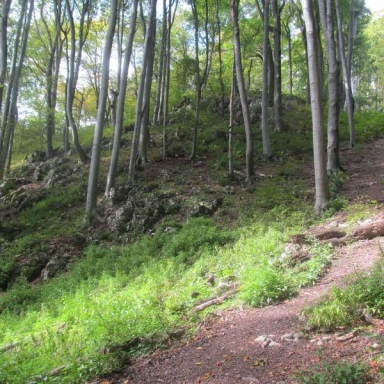 SZÉPALMA - KŐRIS-HEGY - ÖRDÖG-LIK - HALOMSÍROK – SZÉPALMA (BAÁN IRÉN) Galéria