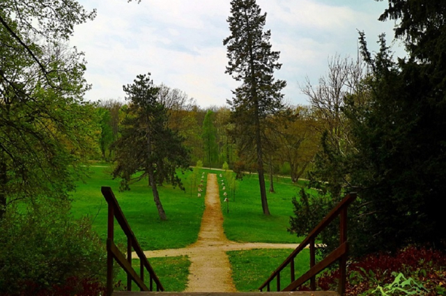 ALSÓPEREI (NÁDASDY) ARBORÉTUM