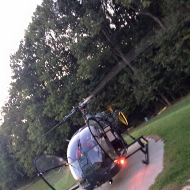 Bakonyfly