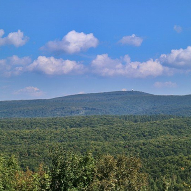 Witt-kilátó