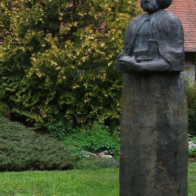 ARBORÉTUM2 Galéria