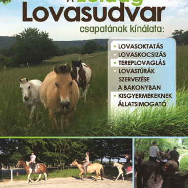 ZÖLDÁG LOVASUDVAR