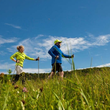NORDIC WALKING