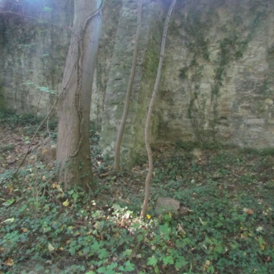 IDŐ (BERKESI GÁBORNÉ) Galéria