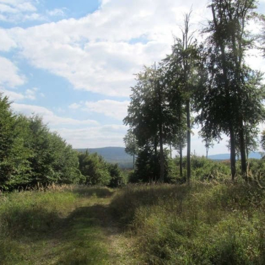 SZÉPALMA - KŐRIS-HEGY - ÖRDÖG-LIK - HALOMSÍROK – SZÉPALMA (BAÁN IRÉN) Galéria