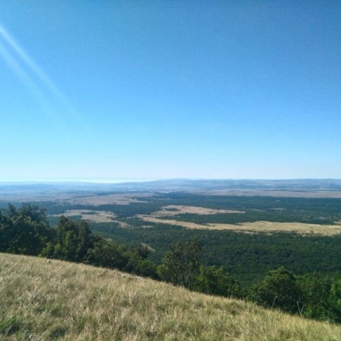 Mórocz-tető