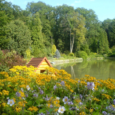 ARBORÉTUM2 Galéria