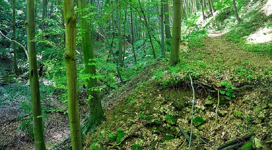 KŐ-ÁROK KŐ-ÁROK