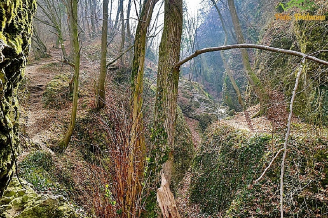 KŐMOSÓ-SZURDOK
