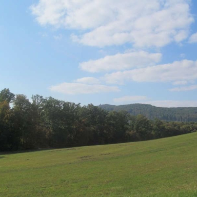 SZÉPALMA - KŐRIS-HEGY - ÖRDÖG-LIK - HALOMSÍROK – SZÉPALMA (BAÁN IRÉN) Galéria