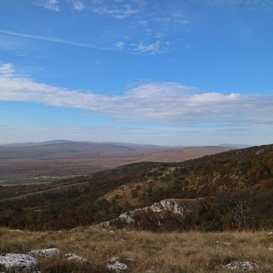 MÓROCZ-TETŐ (KAUFMANN ENIKŐ) Galéria