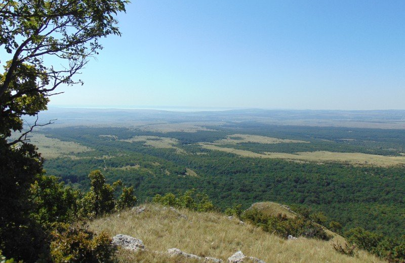 LOOKOUT POINTS OF THE ZIRC AREA