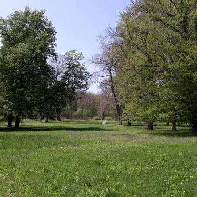 ALSÓPEREI (NÁDASDY) ARBORÉTUM Galéria