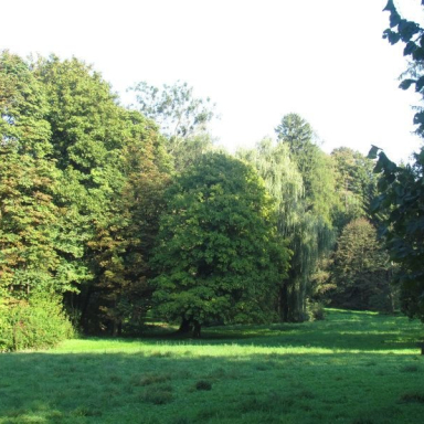 ARBORÉTUM (BERKESI GÁBORNÉ) Galéria