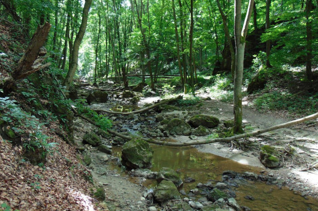 CUHA-SZURDOK