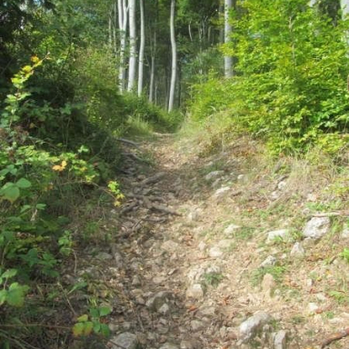 SZÉPALMA - KŐRIS-HEGY - ÖRDÖG-LIK - HALOMSÍROK – SZÉPALMA (BAÁN IRÉN) Galéria