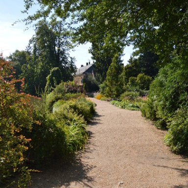Arborétum galéria