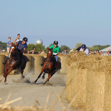 V. BAKONYI VÁGTA