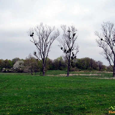 HÁROM-HEGY Galéria
