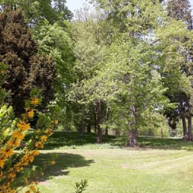 ALSÓPEREI (NÁDASDY) ARBORÉTUM Galéria