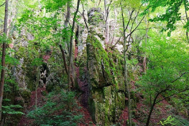 KERTESKŐI-SZURDOK